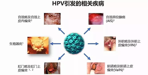 微信图片_20190911091340.jpg 微信图片_20190911091340.jpg