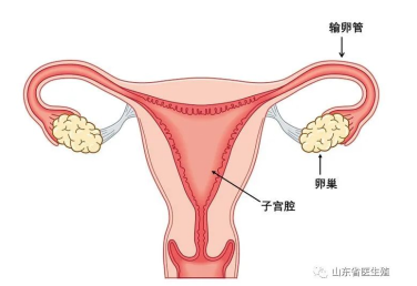 微信截图_20230619155626.png 微信截图_20230619155626.png